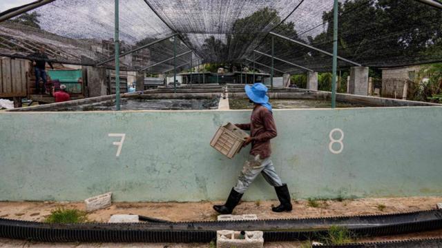 Agricultor em Cuba