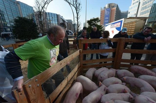 протести фермерів у Брюсселі