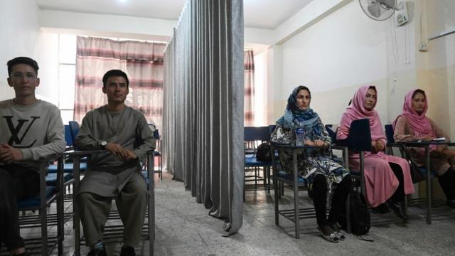 Некоторые университеты установили ширмы, чтобы соблюсти правила "Талибана" в отношении гендерной сегрегации