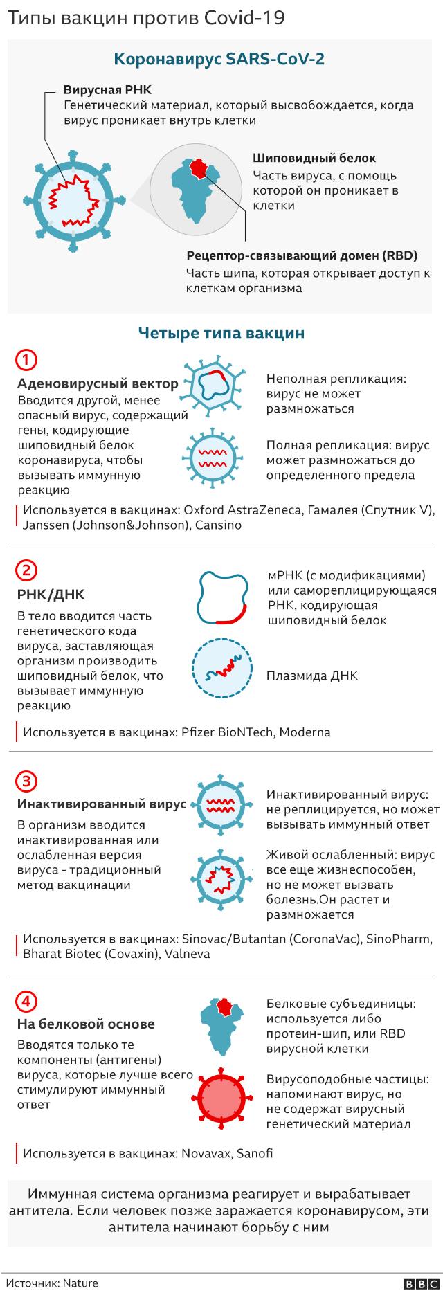 Как работают вакцины