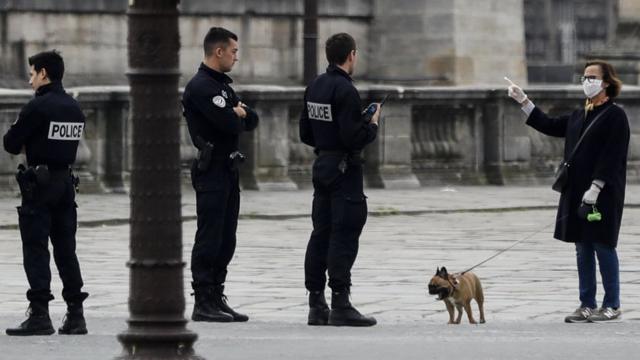 Французские собаки давно просят ужесточить карантин. Им надоело выгуливать всех соседей хозяина