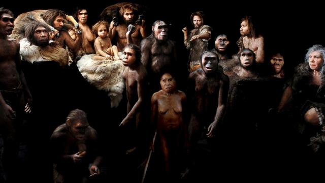 Около двух миллионов лет назад наши предки гоминины начали терять обезьяноподобные черты и стали более похожими на современных людей