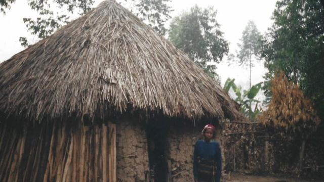 The thatched hut where Peter grew up in Uganda