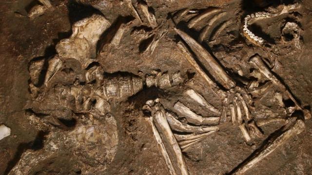 Репродукция останков неандертальцев
