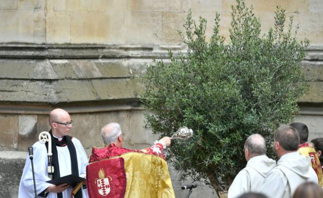 Освящение оливкового дерева в Лондоне