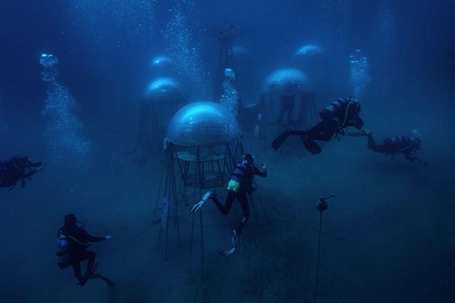 Аквалангисты осматривают "Сад Немо" - проект по развитию подводного земледелия