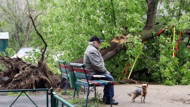 Человек с собакой во дворе