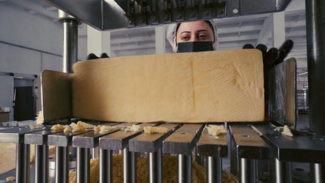 Сырный завод в Варденисе