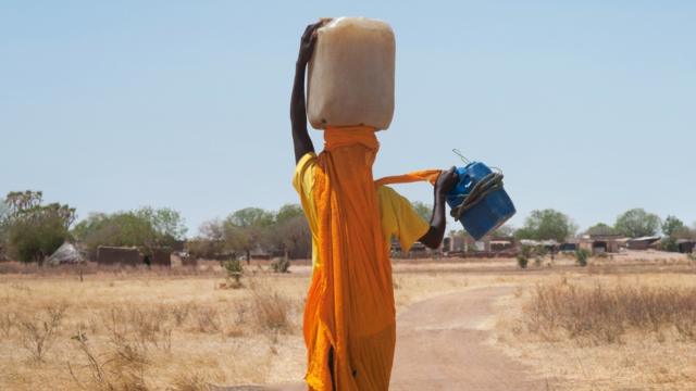 Суданская женщина несет воду