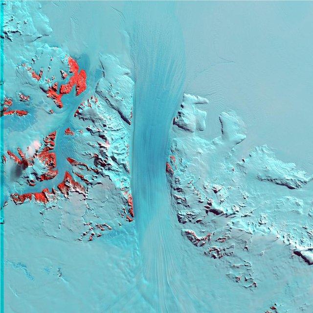 Ледник Бёрда