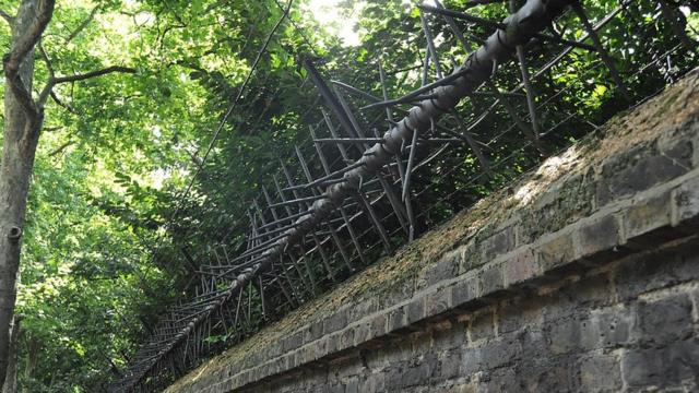 Забор вокруг парка Букингемского дворца