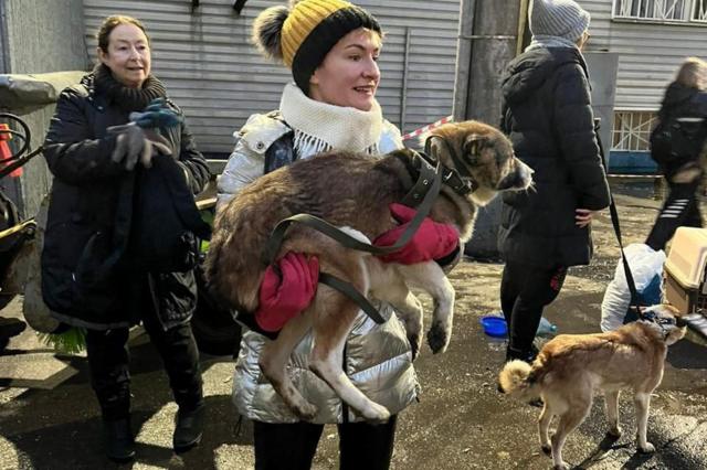 Волонтеры на руках несут собак к поезду