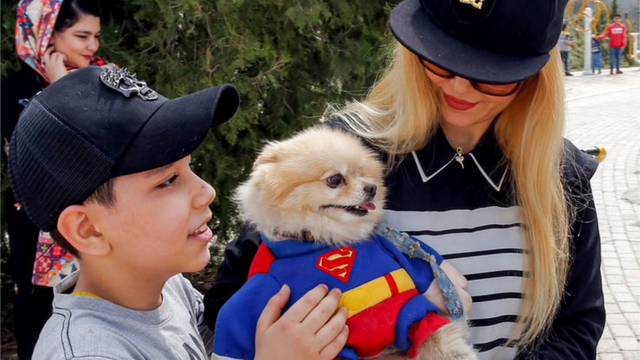 Иранская семья с собакой, одетой в костюм супермена