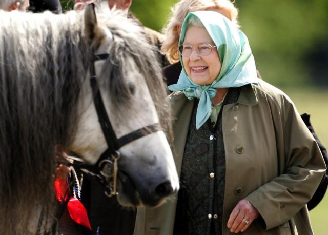 Королева со своей лошадью Балморал мелоди в 2007 году.