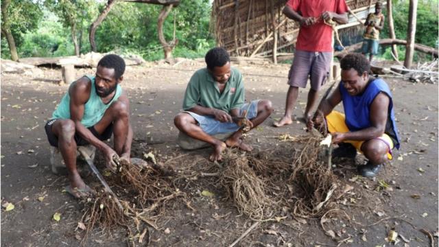 Мужчины племени готовят напиток из корней кавы, 10 апреля 2021 года