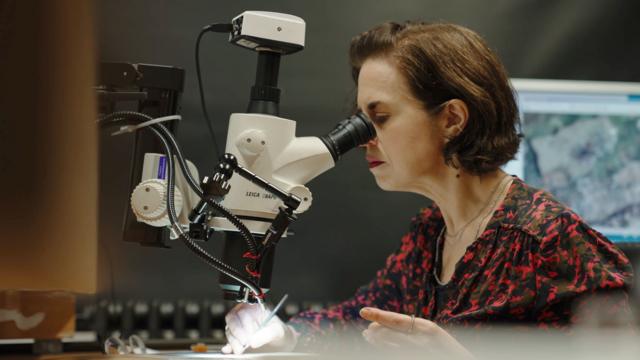 Женщина смотрит в микроскоп