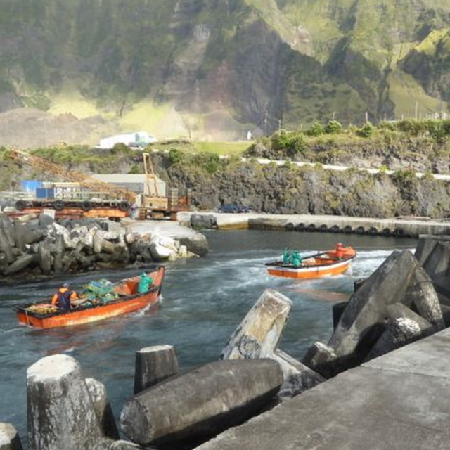 Fishing boats arriving at port