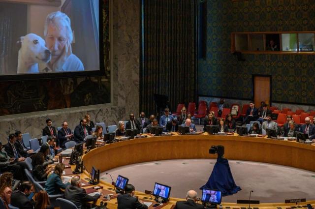 Роджер Уотерс выступал в ООН по приглашению России