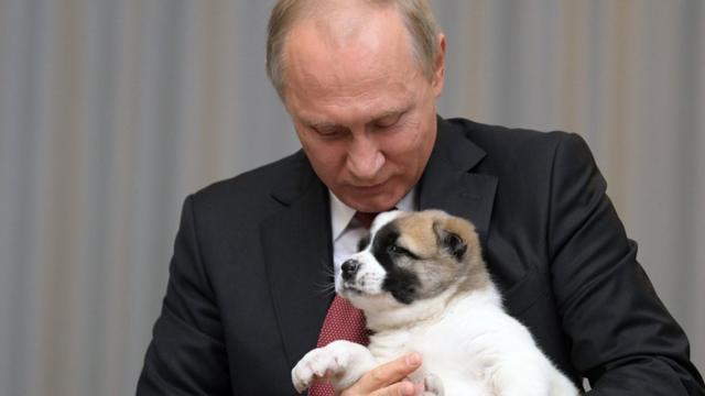 Владимир Путин с щенком Алабая