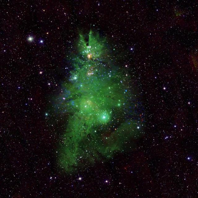 кластер NGC 2264