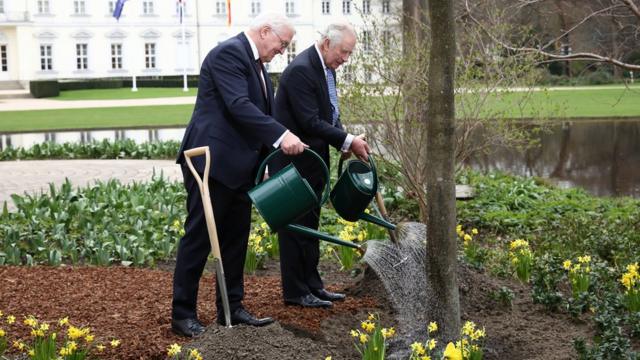 Карл III и президент Штайнмайер посадили в саду дворца Бельвю "семена дружбы"