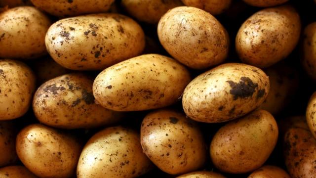 Оказывается, картофель богат белком и витаминами