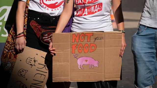 Protesters with placards in favour of veganism and against animal cruelty during the demonstration in Spain