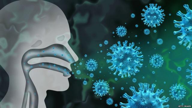 Вирус попадает в нос