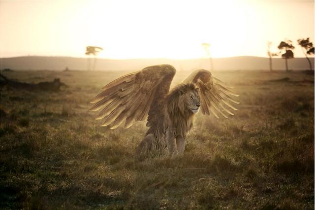 Абстрактне зображення лева з великими пташиними крилами