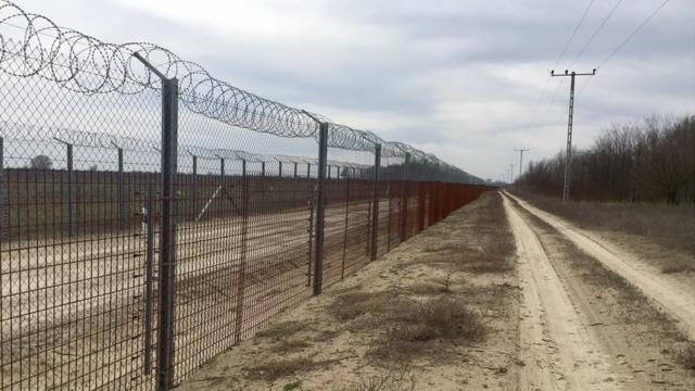 Забор на границе Венгрии и Сербии