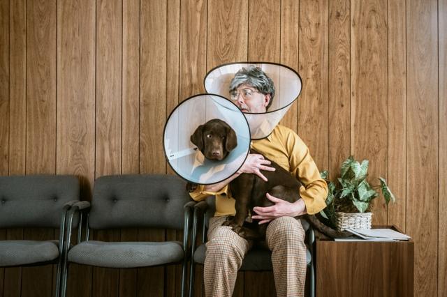 A man and his dog waiting at the vet, both wearing anti-scratch collars