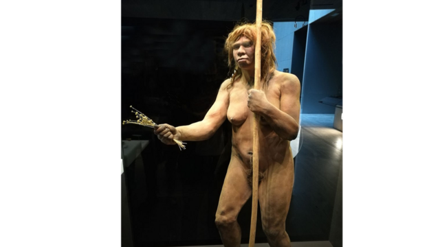 Репродукция неандертальской женщины из пещеры Сидон в Астурии. Зал предыстории в Национальном археологическом музее в Мадриде, Испания.