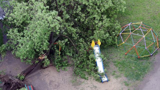 Упавшее на десткую площадку дерево