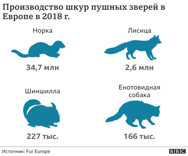 Наиболее популярные пушные звери