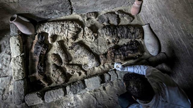 кошачьи мумии в захоронении в Саккара