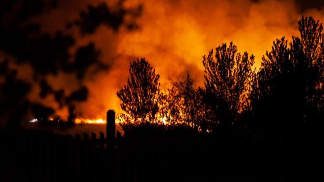 Пожар в Ашдаунском лесу