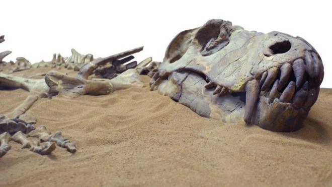 кости динозавров