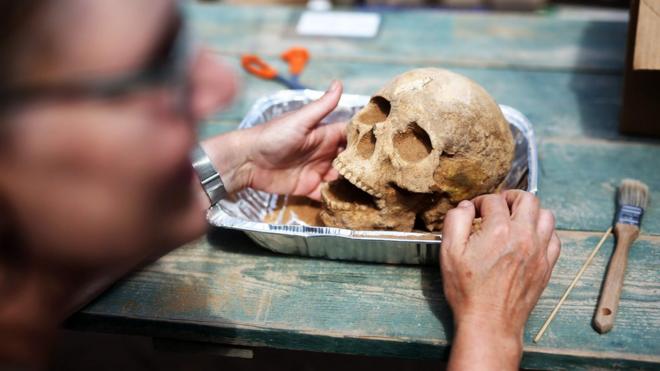 S anthropologist and pathologist, Sherry Fox shows a skull discovered at the excavation site of the first Philistine cemetery ever found on June 28, 2016