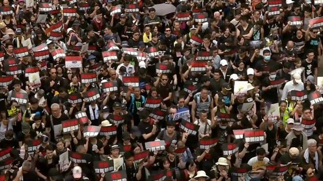 Протесты в Гонконге: таймлапс
