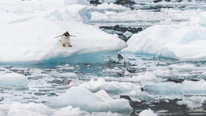 Прибрежные ледники в Антарктике быстро теряют массу