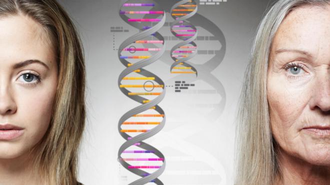 Duas mulheres e algumas hélices de DNA