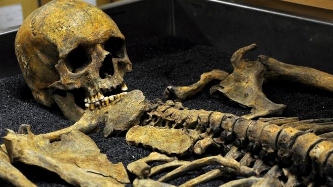 Скелет из Музея Лондона