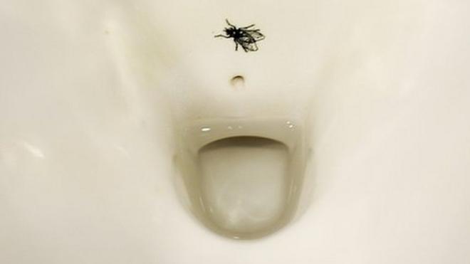 toilet bowl with fly etched on