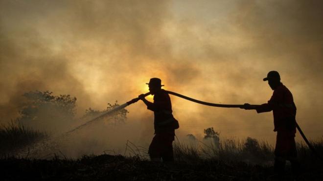 Пожарные на Суматре в августе 2019 года