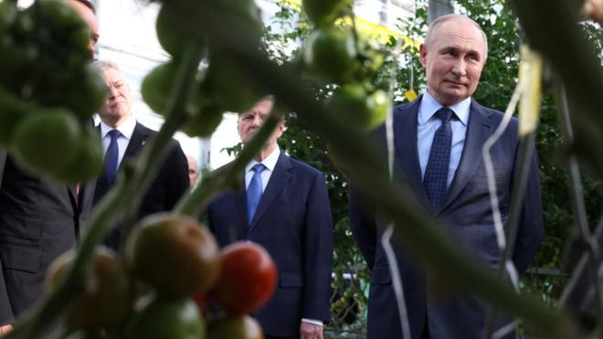 Путин и помидоры