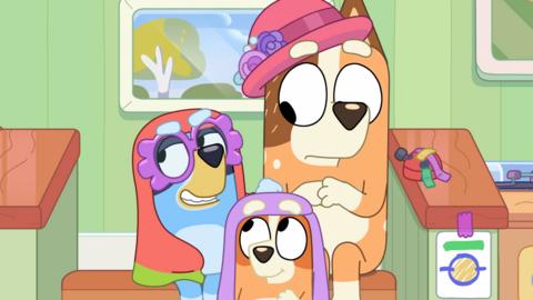 Three dogs in fancy dress. The two smaller dogs are wearing towels like headscarves and one wears fake glasses, while the larger red dog wears a pink hat.