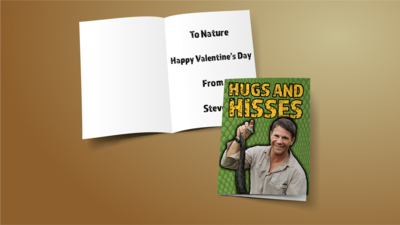 An open greetings card showing the inside with a written message and the front cover that features Steve Backshall holding a snake with the wording "Hugs and Hisses" above it