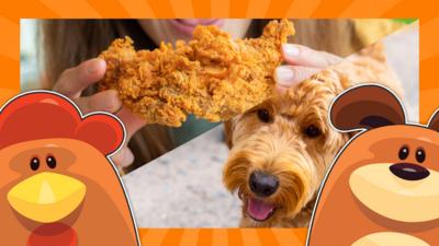 CBBC - Quiz: Is it a dog or fried chicken?