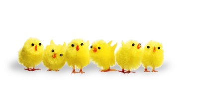 Six toy yellow chicks are lined up in a row to represent Easter.