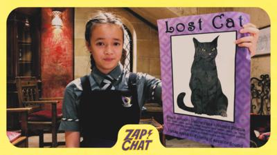 The Worst Witch - ZAPCHAT: Lost Cat